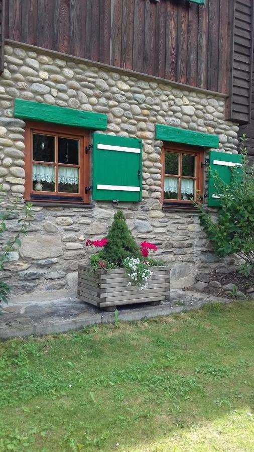 Almwiese Apartment Stadl an der Mur Extérieur photo